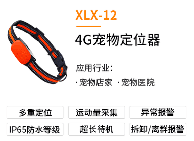 XLX_12