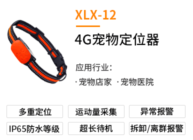 XLX_12